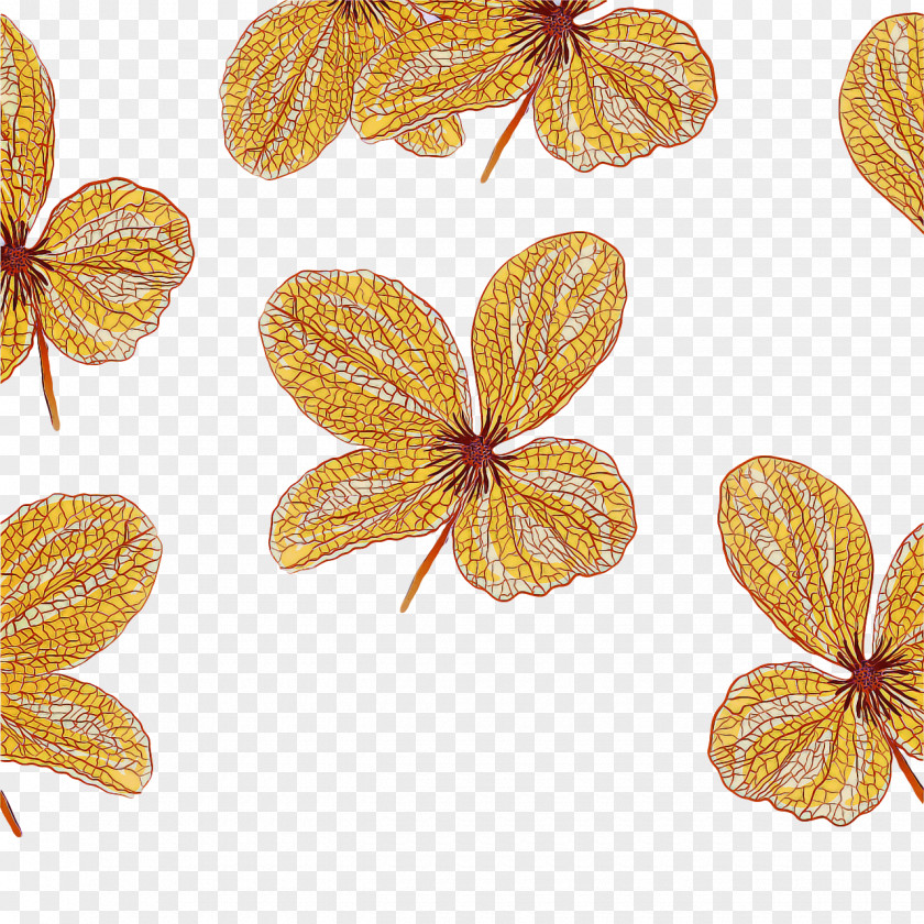 Gold Butterflies Jewellery Lepidoptera Chemistry PNG