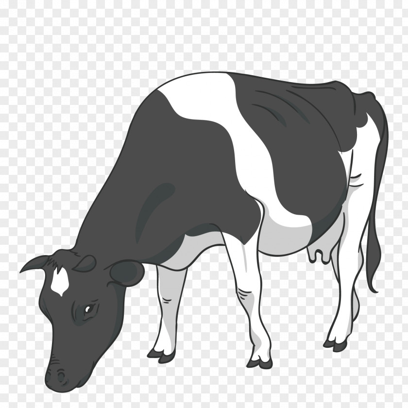 Vector Black Cow Cattle Drawing PNG