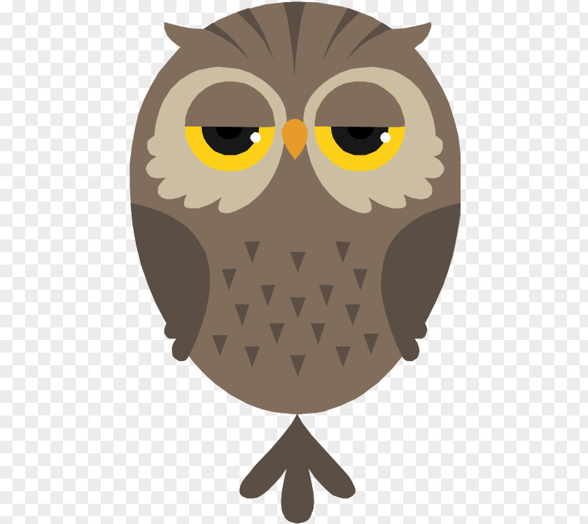 Chouette Owl Bird Clip Art PNG