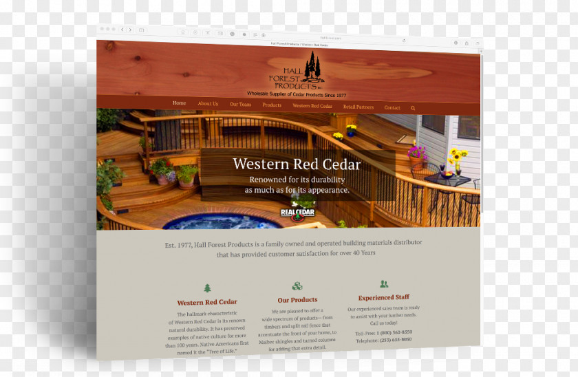 Creative Technology Western Redcedar Forest Products Forestry PNG