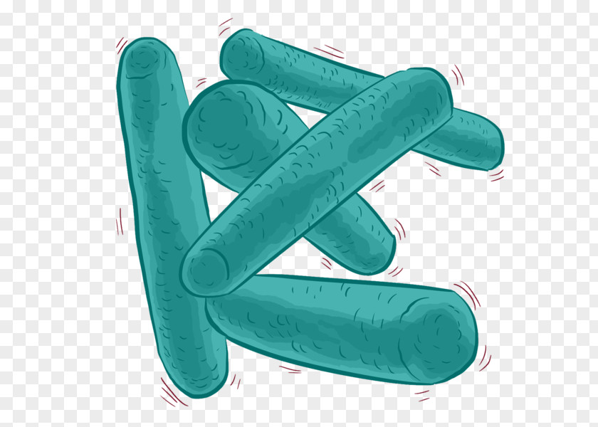 Finger Hand Bacteria Cartoon PNG