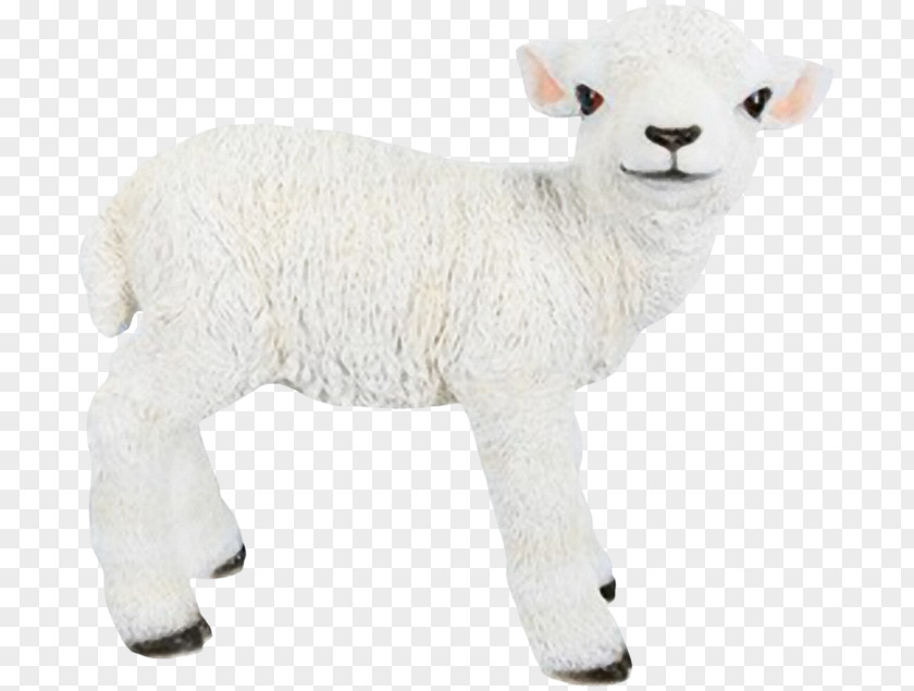 Sheep Agneau Goat Figurine Terrestrial Animal PNG