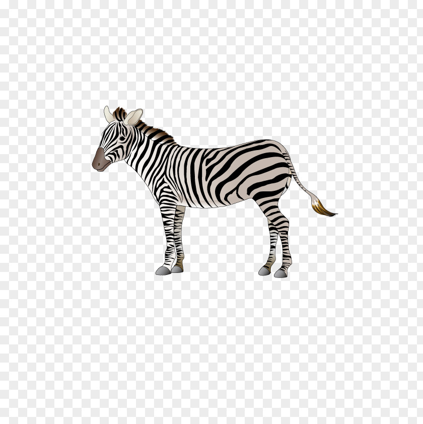 Vector Zebra Cartoon Logo PNG
