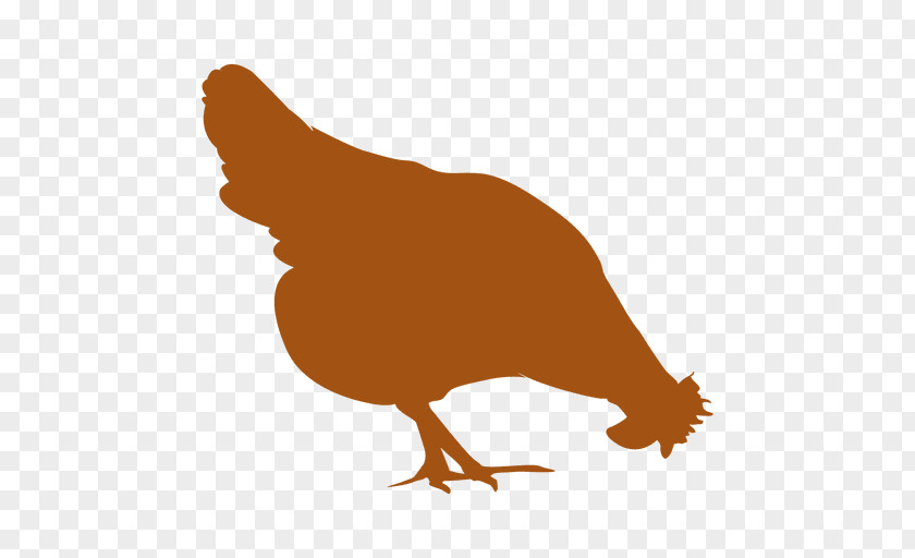 Brahma Chicken Rhode Island Red Sussex Broiler Leghorn PNG