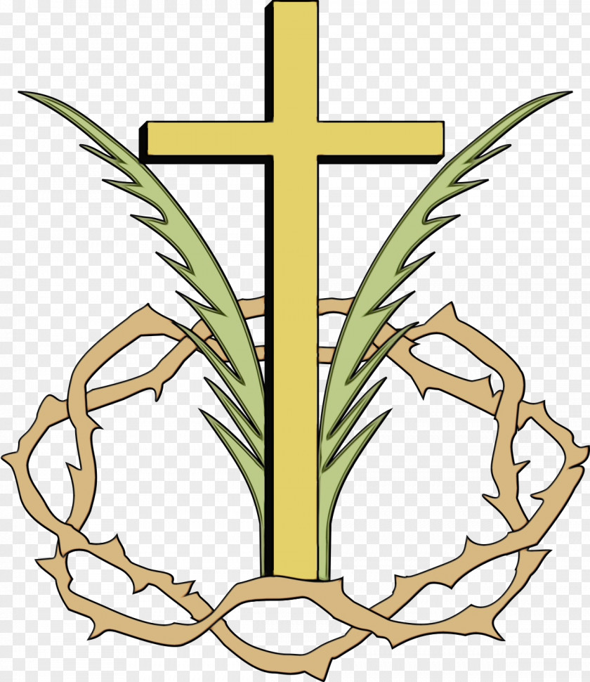 Grass Family Cross Symbol Plant PNG