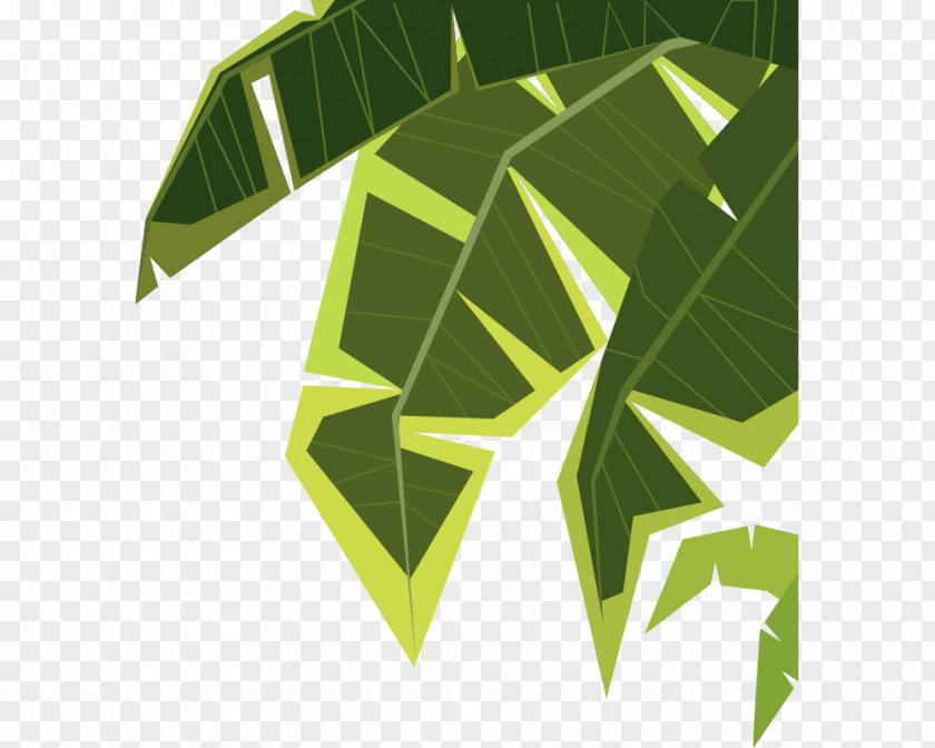 Green Palm Leaves Cartoon Illustration PNG