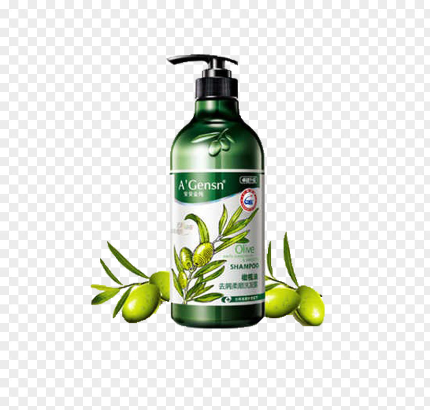 Olive Oil Shampoo Hair Conditioner PNG