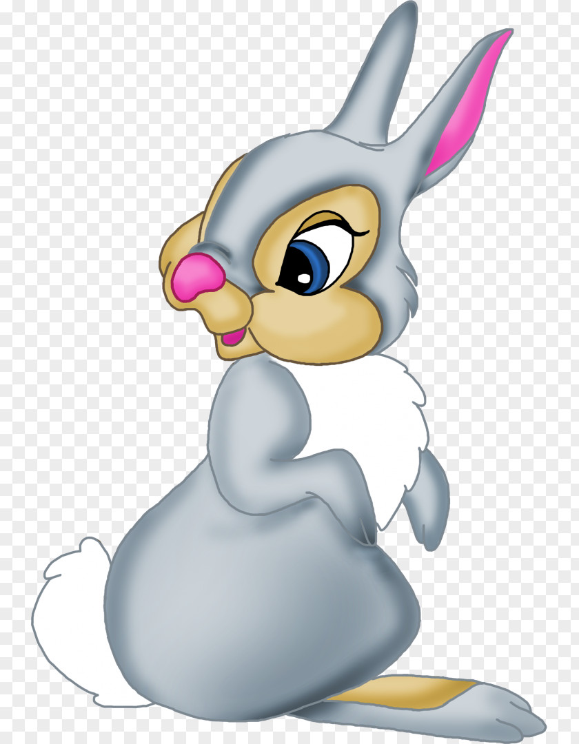 Rabit Thumper Leporids Clip Art PNG