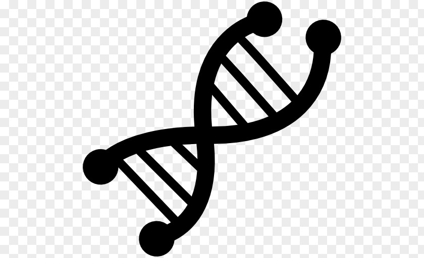 Symbol Genetics DNA Nucleic Acid Double Helix PNG