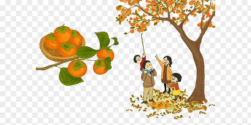 The Whole Family Picks Persimmons Japanese Persimmon Clip Art PNG