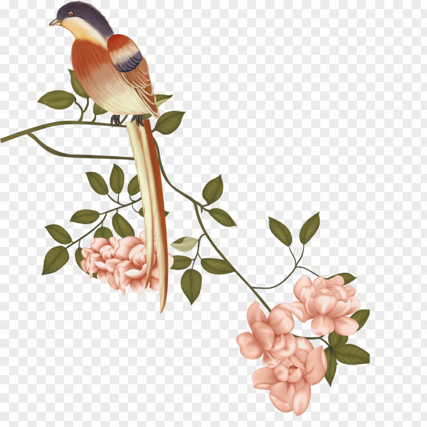 Birds And Flowers China Floral Design Bird-and-flower Painting Gongbi Chinese PNG