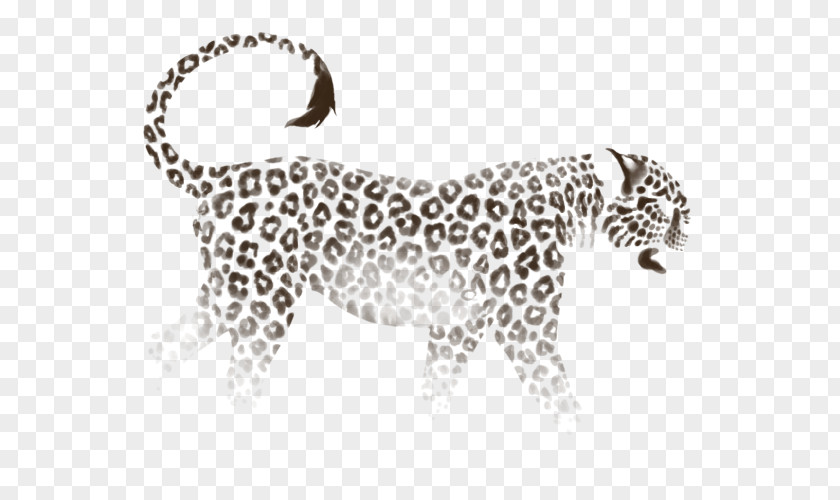 Leopard Jaguar Horse Tiger Lion PNG