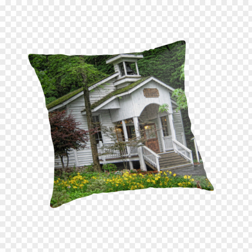 Pillow Throw Pillows Cushion PNG