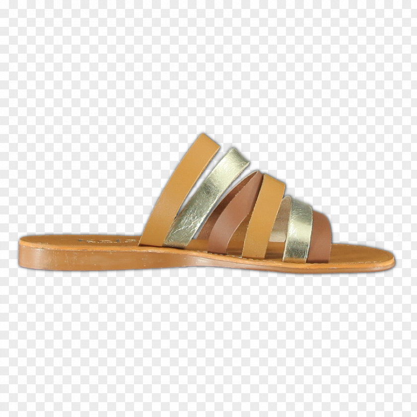 Sandal Shoe PNG