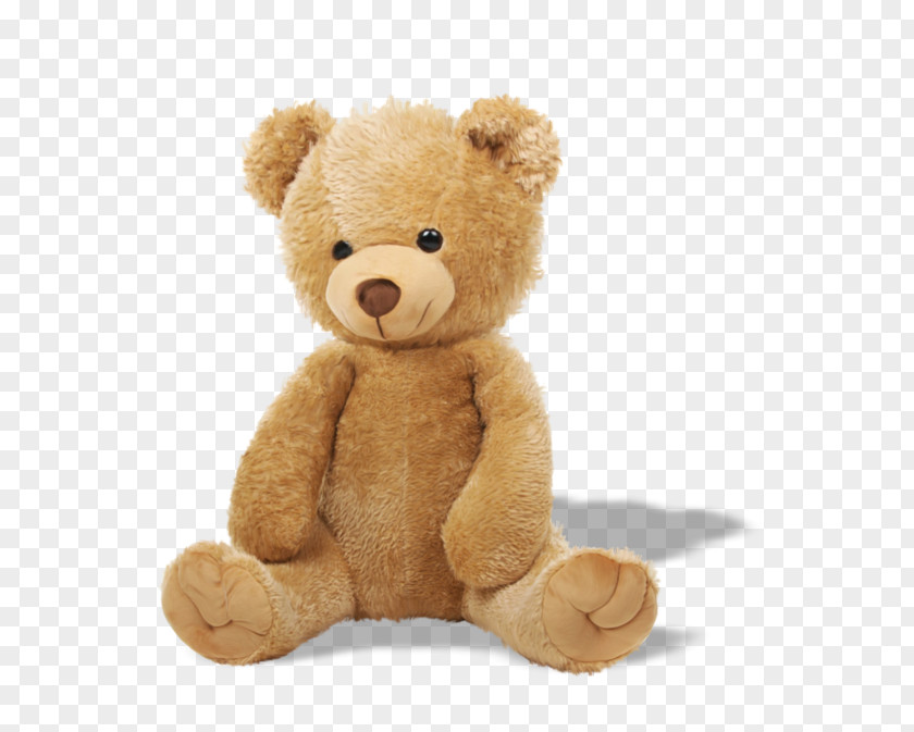 Teddy Bear Stuffed Animals & Cuddly Toys Stock Photography PNG bear photography, teddy clipart PNG
