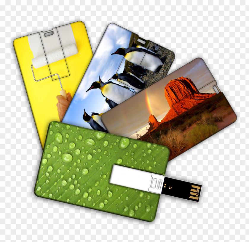 Usb Flash USB Drives FlashCard Business Cards Printing PNG