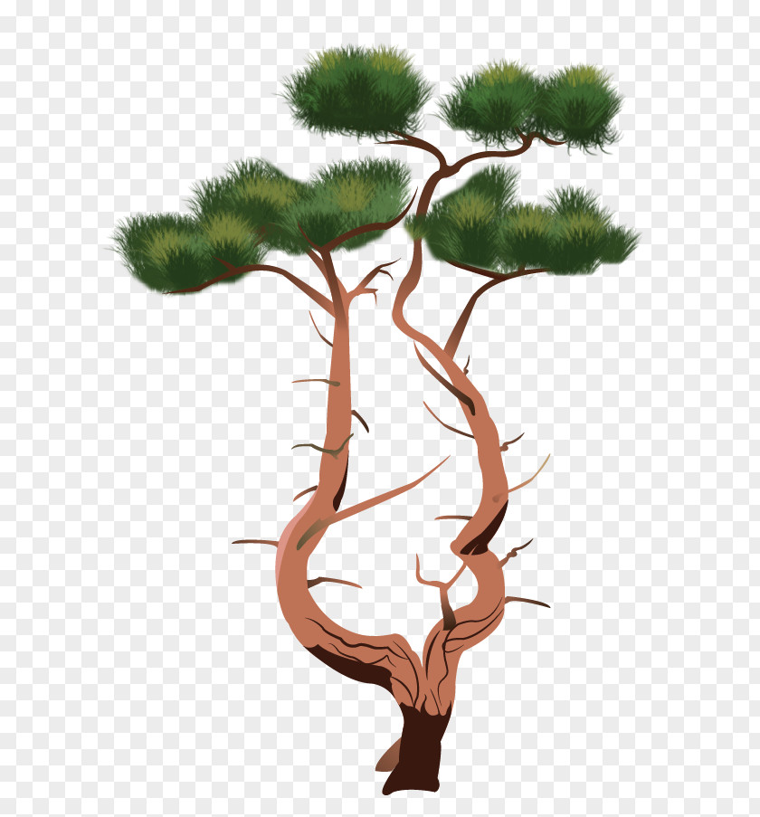 Wood Pine /m/083vt Plant Stem PNG