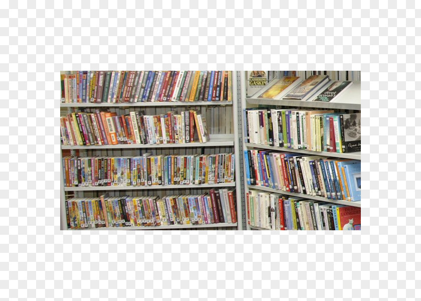 Book Shelf Redesigning Library Services Public PNG