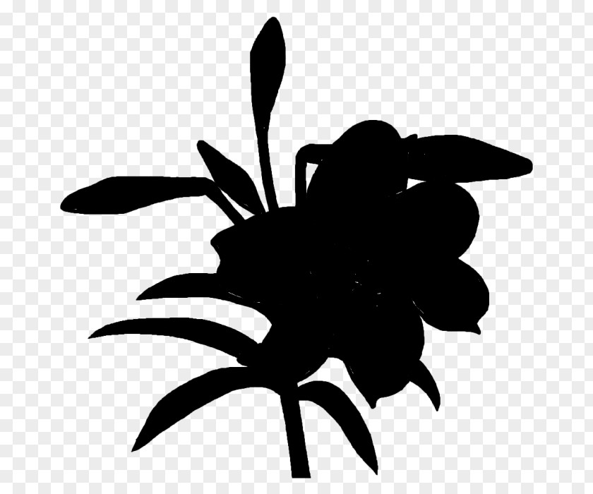 Clip Art Insect Silhouette Leaf Flowering Plant PNG