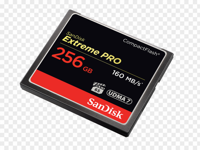 Flash Memory Cards CompactFlash SanDisk Computer Data Storage PNG