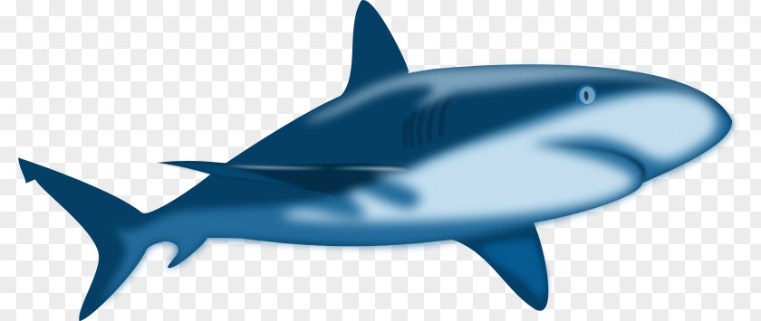 Free Shark Images Jaws Content Clip Art PNG