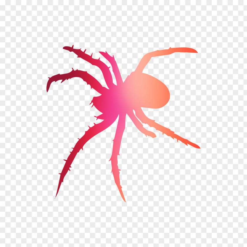 Insect Clip Art Seafood Line Pest PNG