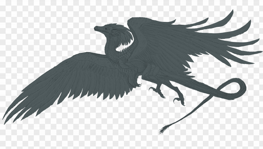 Magpie Bird Dragon Legendary Creature Drawing Line Art PNG