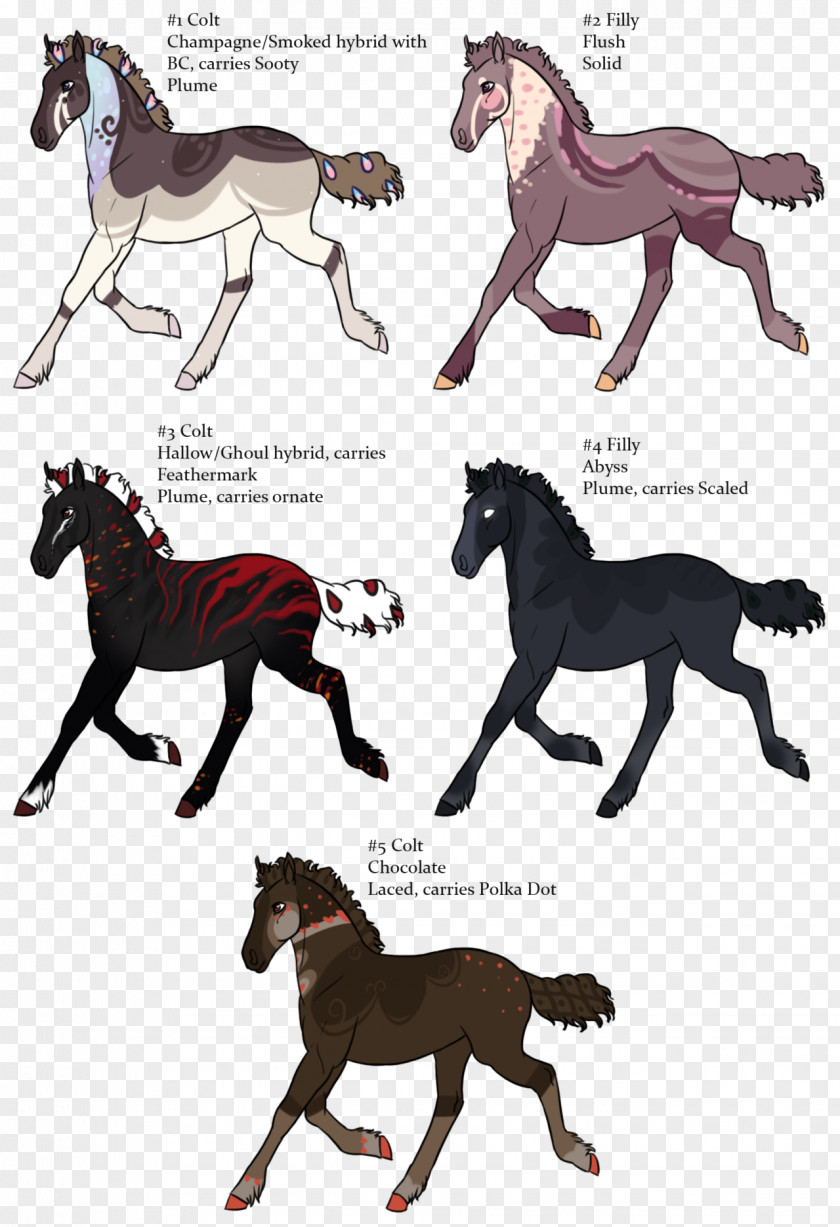Mustang Stallion Foal Pony Pack Animal PNG