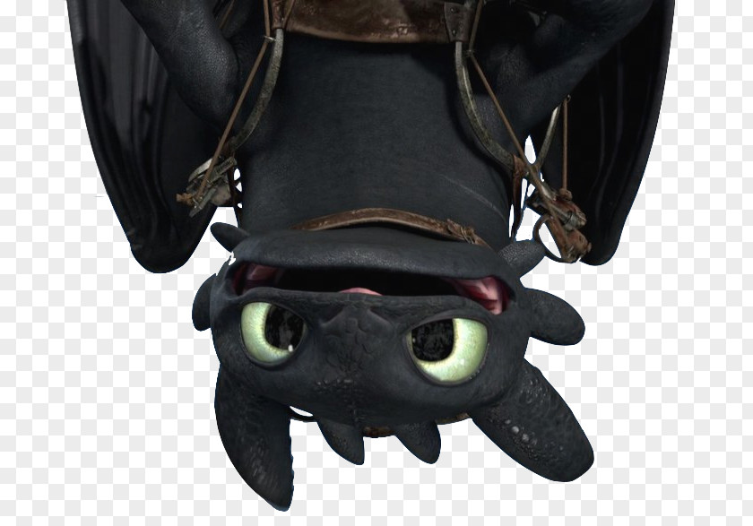 T-shirt Hiccup Horrendous Haddock III How To Train Your Dragon Toothless Hoodie PNG