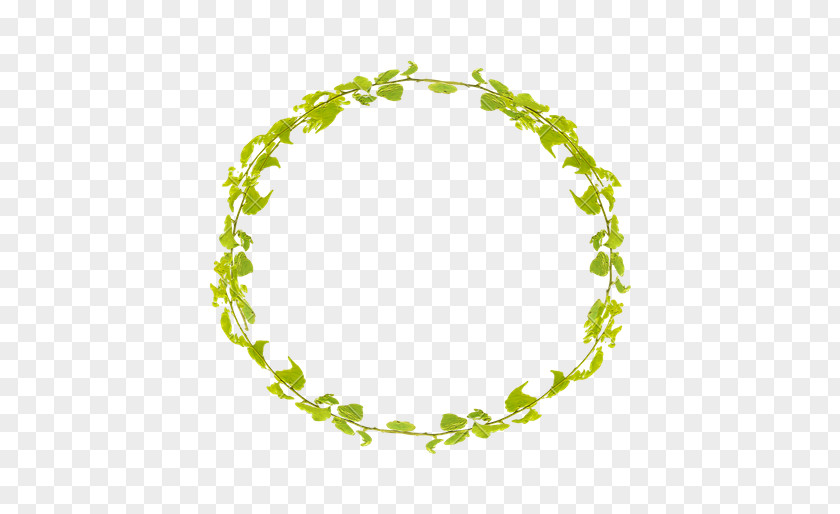 Leaf Stock Photography Design Circle PNG