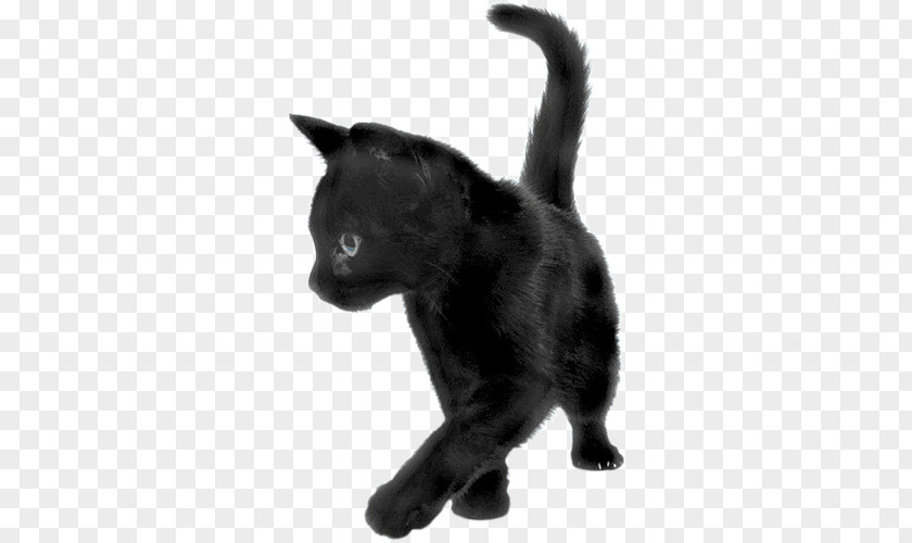 Black Cat Sideview PNG Sideview, black cat art clipart PNG