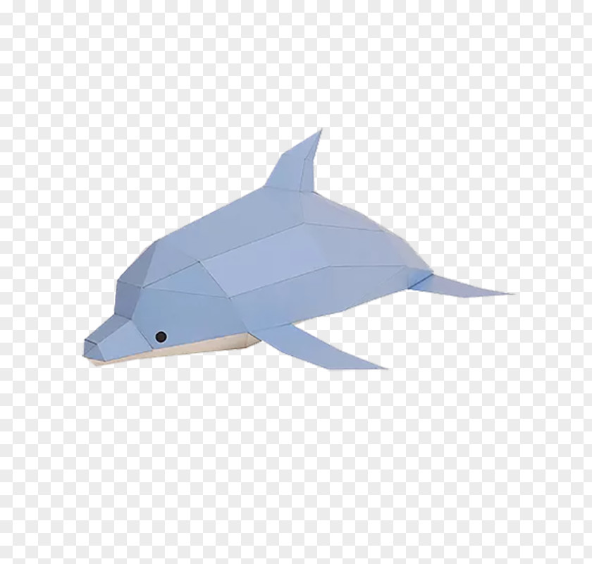 Dolphin Common Bottlenose Paper Tucuxi Jigsaw Puzzles PNG