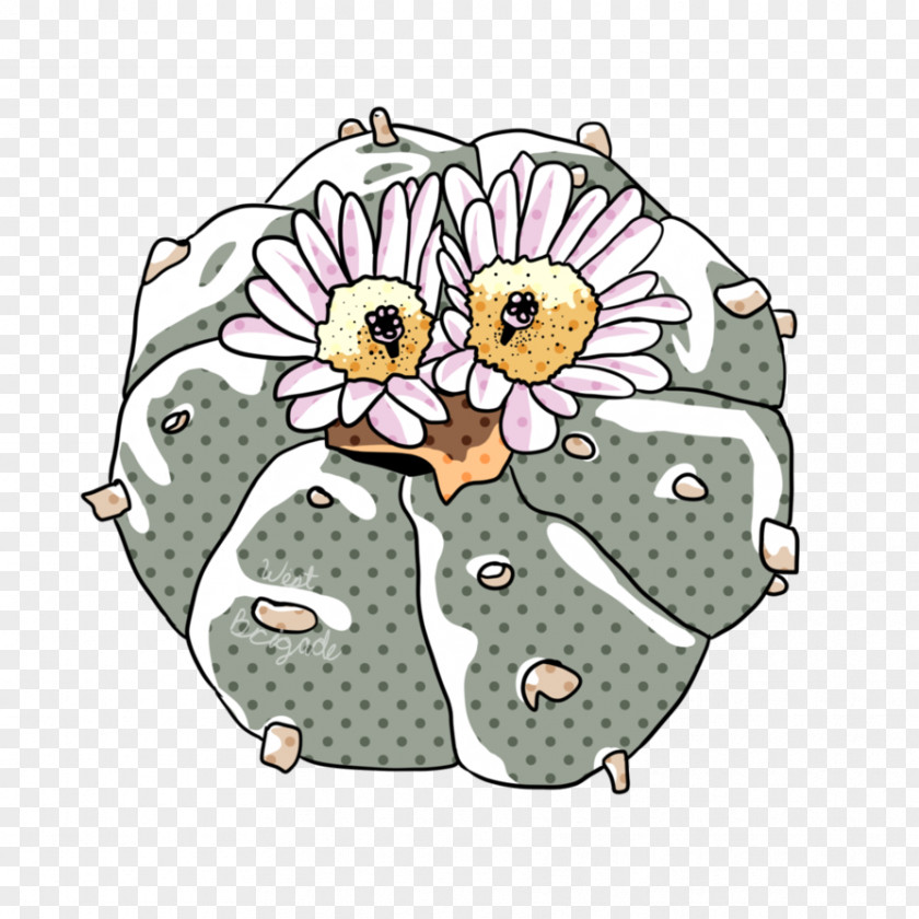 Owl Cartoon Clip Art PNG