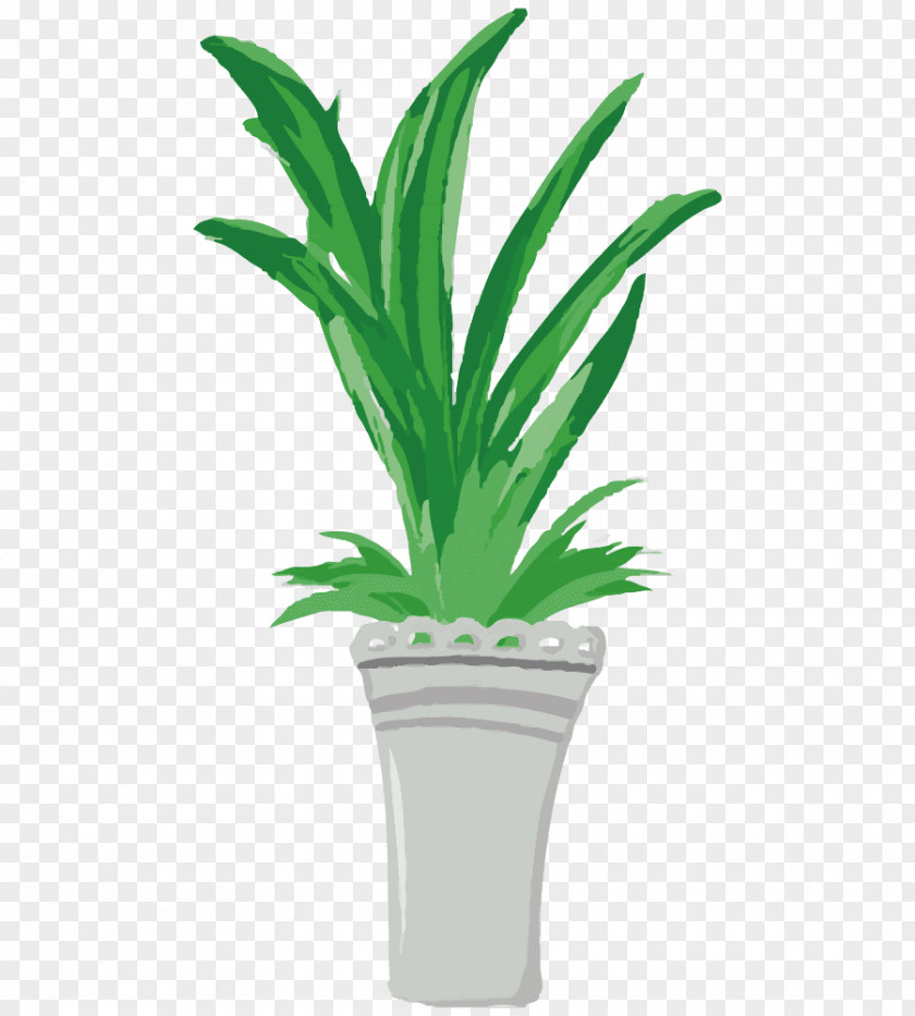 Palm Trees Flowerpot Plants Illustration PNG
