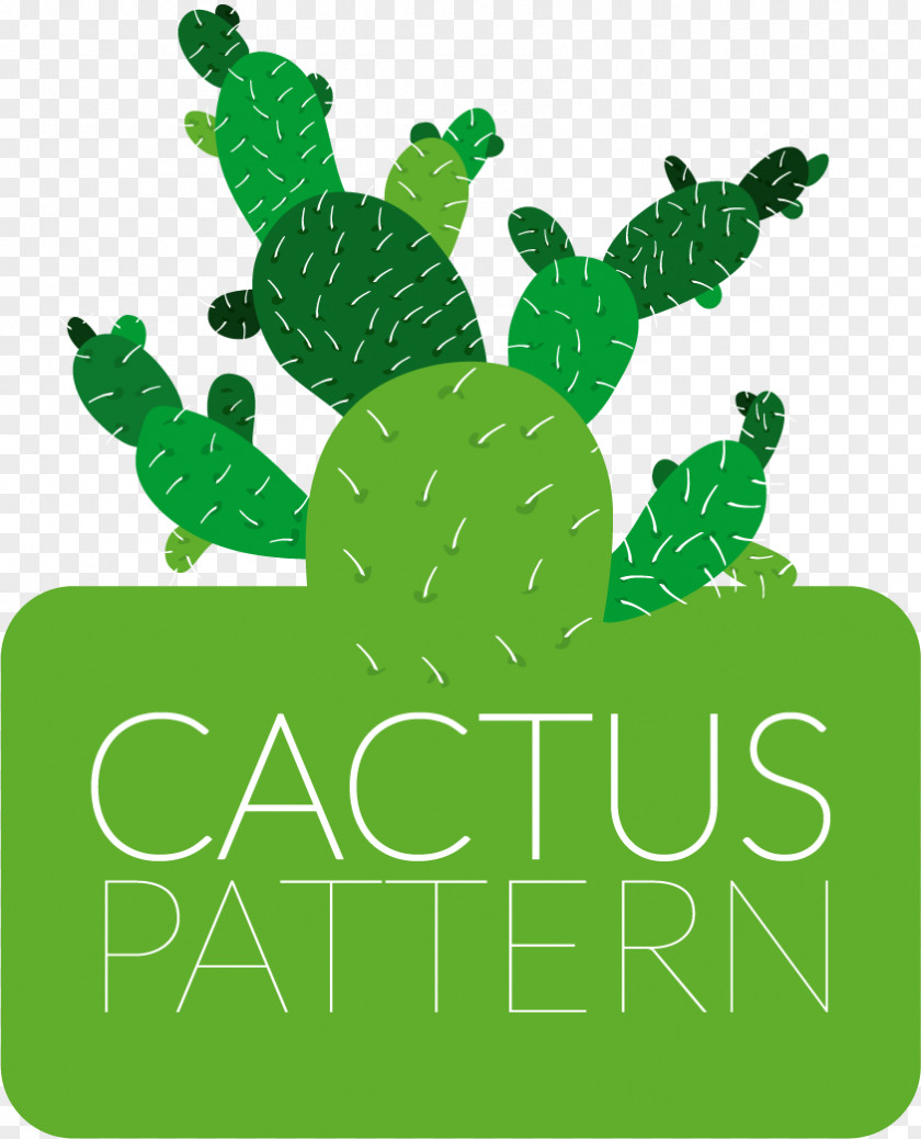 Vector Green Cactus Flowers Drawing Cactaceae Clip Art PNG