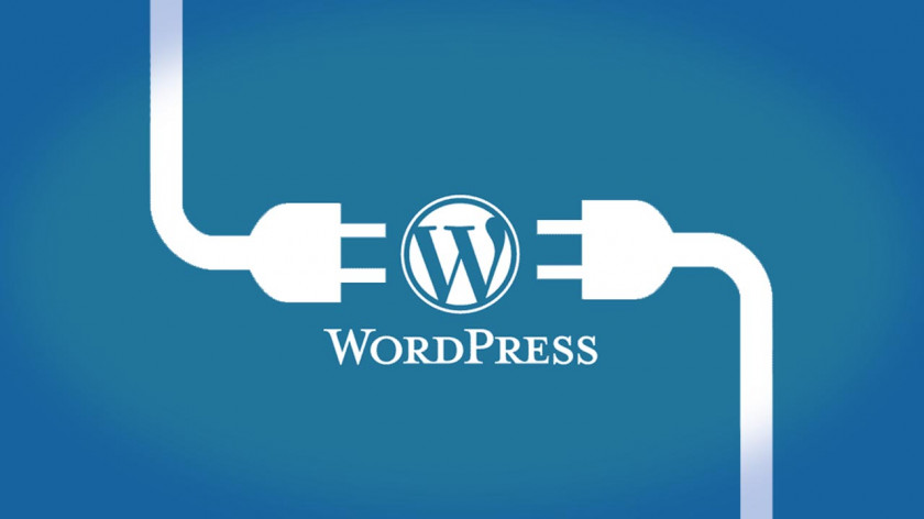 WordPress Web Development Plug-in Blog Installation PNG
