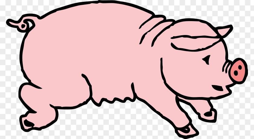 Boar Hunting Domestic Pig Clip Art PNG