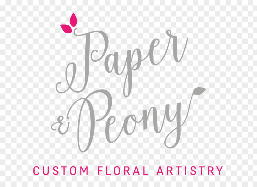 Box Paper Logo Book PNG