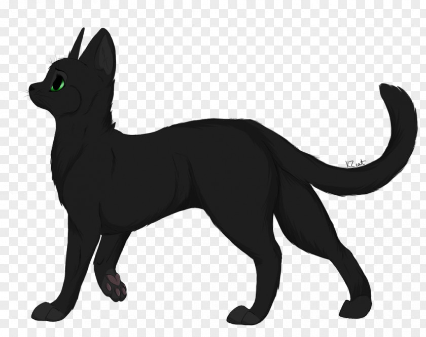 Cat Black Warriors The Rise Of Scourge Erin Hunter PNG