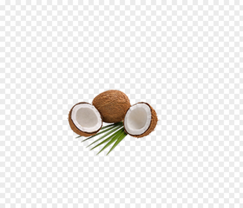 Coconuts Coconut Milk Powder Water Manufacturing PNG