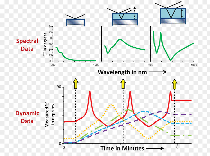 Computer Software Data In Situ Ellipsometry Freeware PNG