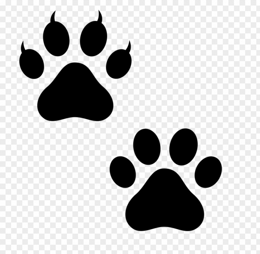 Dog Paw Bear Polydactyl Cat Puppy PNG
