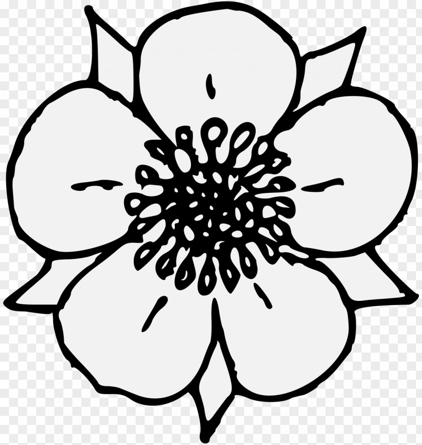 Flower Clip Art Drawing Line PNG