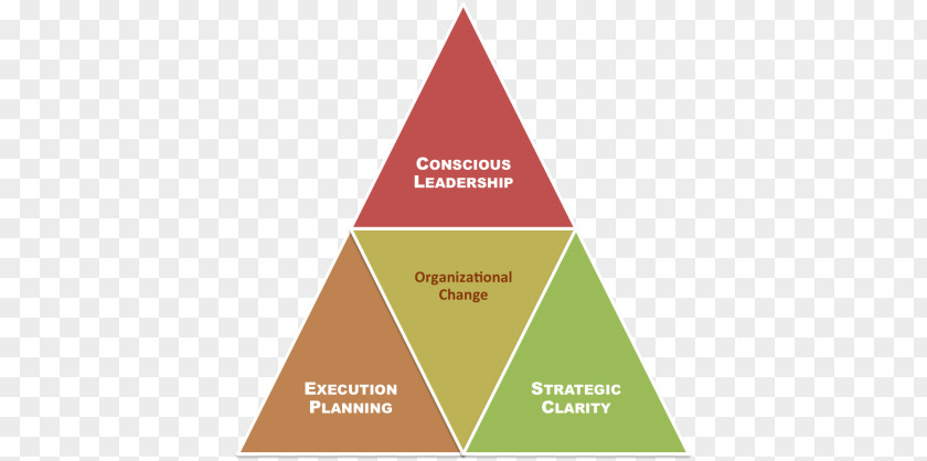 Leadership Model Chief Financial Officer Business Outsourcing Organization PNG