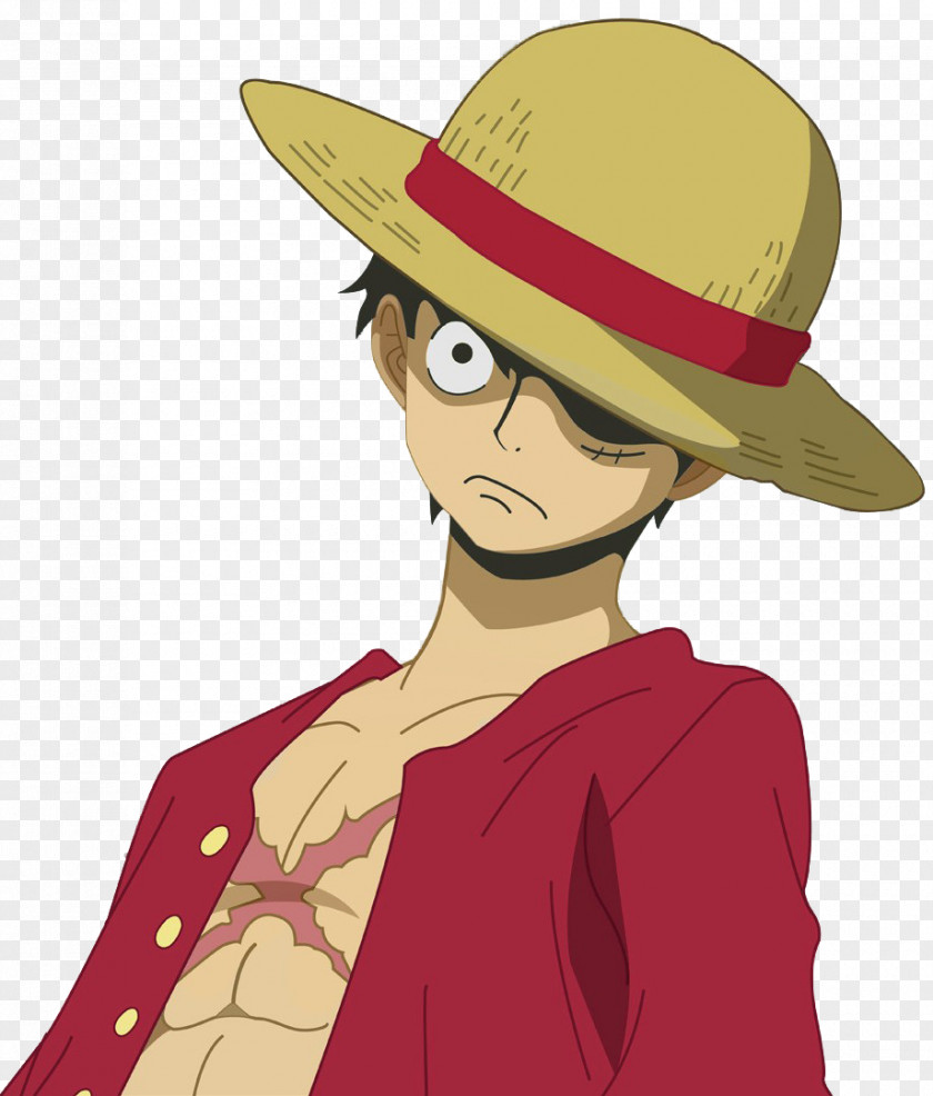 Monkey D Luffy File D. One Piece: Pirate Warriors Roronoa Zoro Vinsmoke Sanji PNG