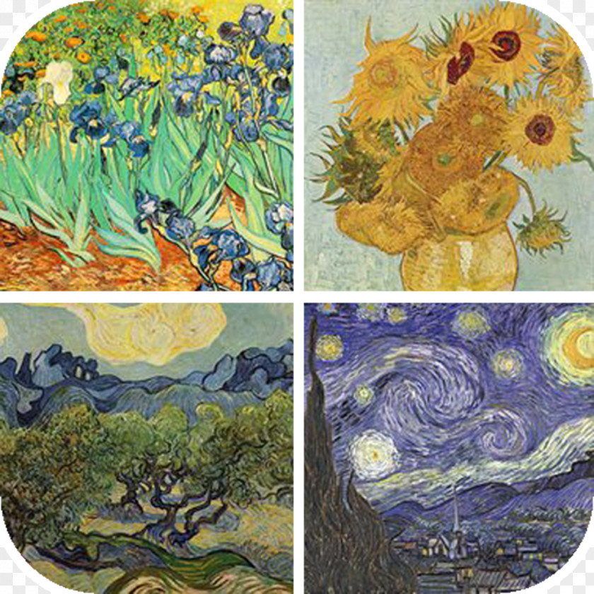 Painting The Starry Night Museum Of Modern Art Almond Blossoms Artist PNG