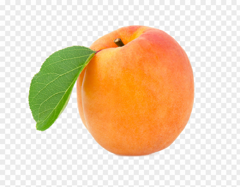 Peach Apricot Fruit Transparency PNG