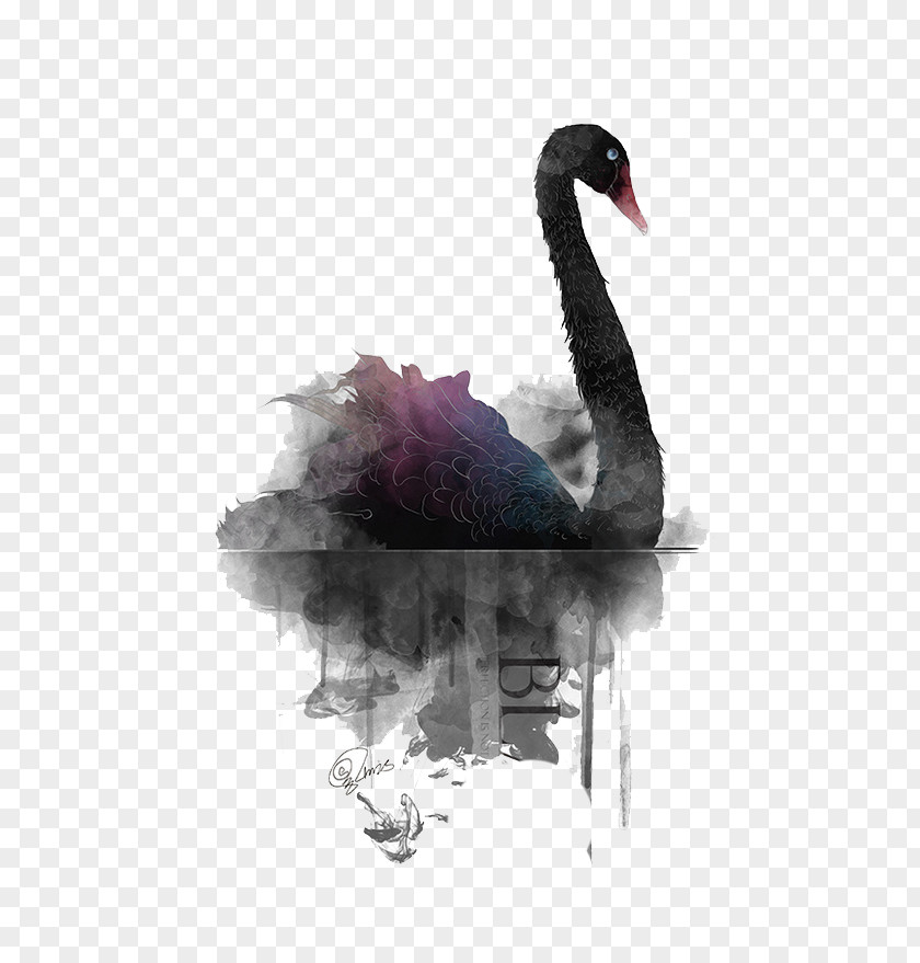 Simple Black Watercolor Swan Painting PNG