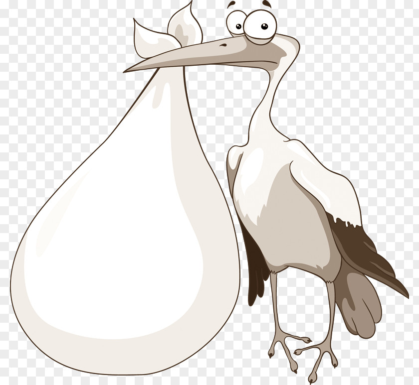 Duck Homing Pigeon English Carrier Bird Clip Art PNG