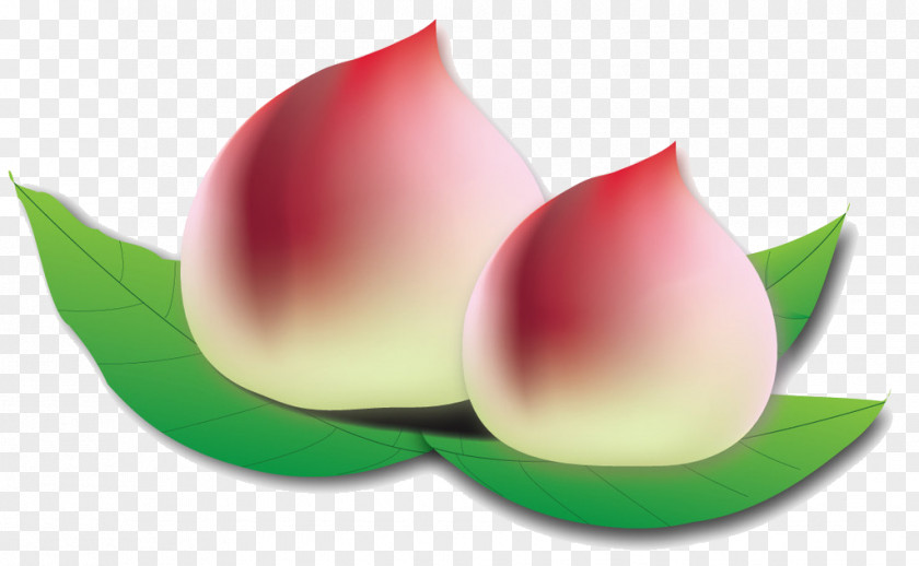 Peach Saturn Ali Fruit PNG